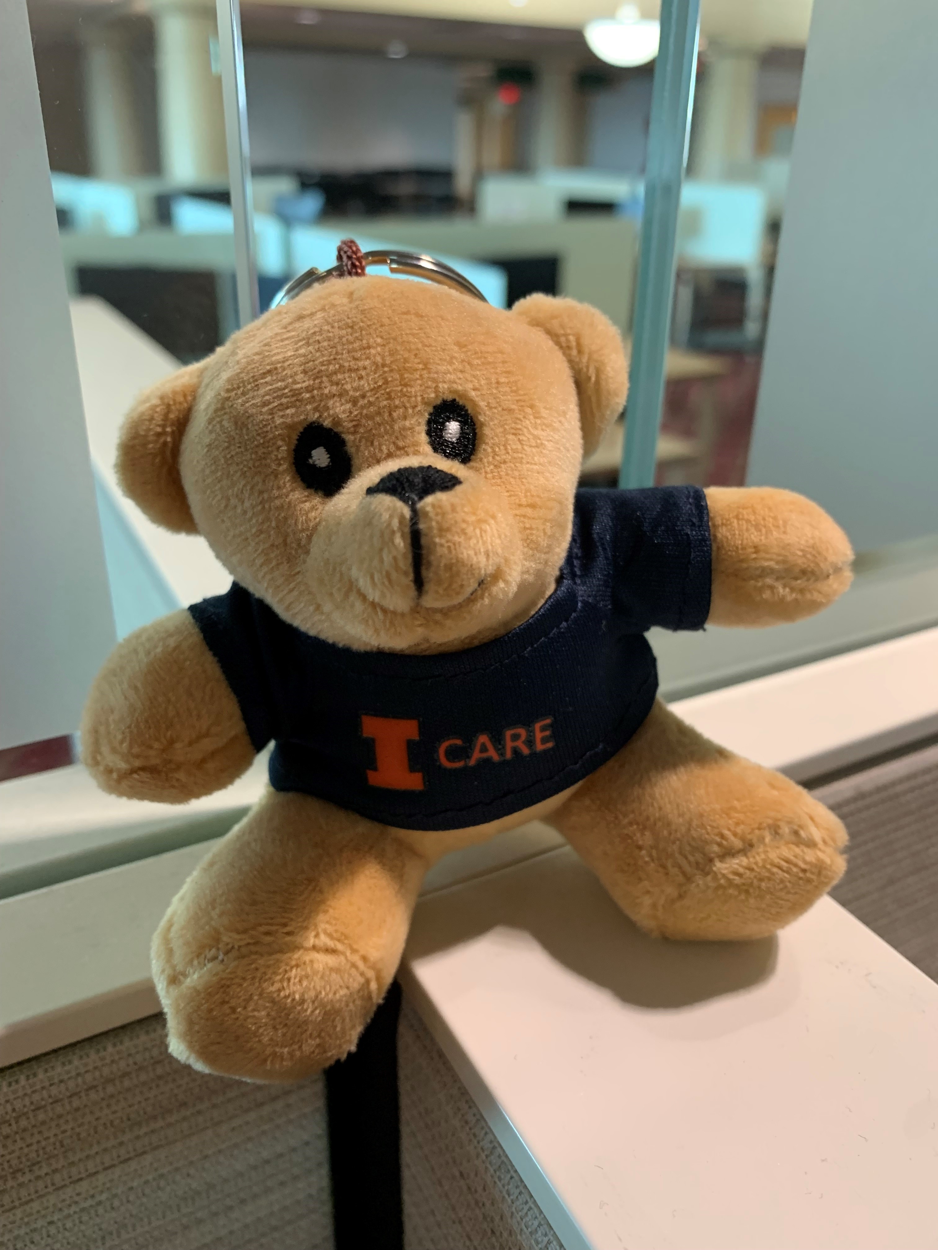 Adelaide center for academic resources in engineering illinois